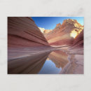 Search for coyote postcards Landscape