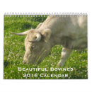 Search for bulls office supplies Bovine