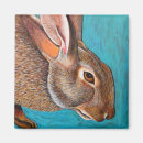 Search for cottontail magnets Cute