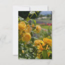 Search for rose red note cards Garden