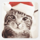Search for domesticated stickers Colour image