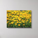 Search for susan canvas prints Daisies