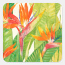 Search for paradise stickers Bird of paradise