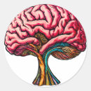 Search for brain anatomy stickers Biology