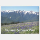 Search for olympic national park magnets Washington state