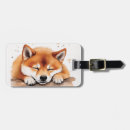 Search for shiba inu accessories Pet