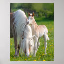 Search for manes posters For kids
