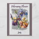 Search for february birthday cards Floral