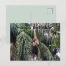Search for gibbon cards Primate