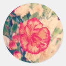 Search for dianthus stickers Floral