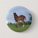 Search for foals badges Thoroughbred