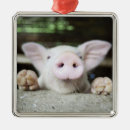 Search for piglet christmas tree decorations Animal