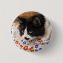 Search for tuxedo badges Black and white cat