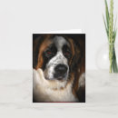 Search for st bernard cards Animals