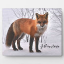 Search for fox plaques Nature