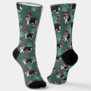 Search for corgi socks Puppy
