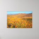 Search for antelope canvas prints Nature