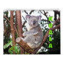 Search for koala calendars Cute