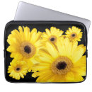 Search for gerber daisy electronics Flowers