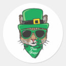 Search for leprechaun cat stickers Irish