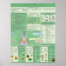 Search for chakra chart posters Spiritual