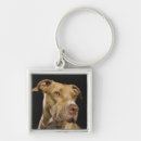 Search for pitbull key rings Animal