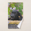 Search for black labradors bath towels Puppy