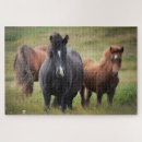 Search for equestrian puzzles Animal