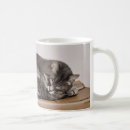 Search for sleepy cat mugs Grey