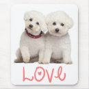 Search for bichon frise electronics Puppies