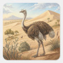Search for ostrich stickers Animal
