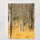 Search for aspen tree invitations Forest