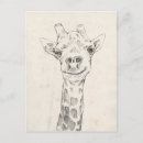 Search for giraffe drawing postcards Zoo