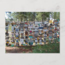 Search for watson postcards Yukon