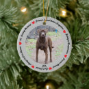 Search for dog pet memorial ornaments Sympathy