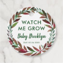 Search for watch me grow favour tags Greenery
