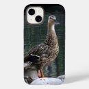 Search for water birds iphone cases Mallard