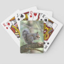 Search for squirrel playing cards Cute