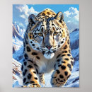 Search for snow leopard posters Nature