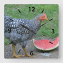 Search for barnyards art Hen