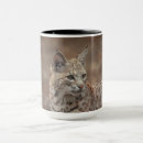 Search for bobcat mugs Wildlife