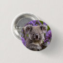 Search for koala bear badges Marsupial