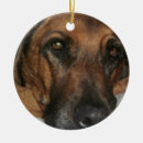 Search for rhodesian ridgeback christmas tree decorations Animal