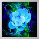 Search for lotus posters Flower