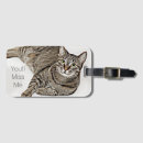 Search for tabby accessories Animals