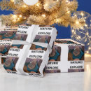 Search for canyon wrapping paper Usa