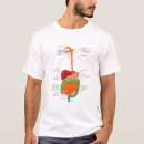Search for digestive system tshirts Anatomy