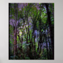 Search for fairy photography Forest