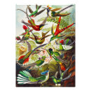 Search for biologie posters Kunstformen der natur