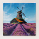 Search for valensole Lavender